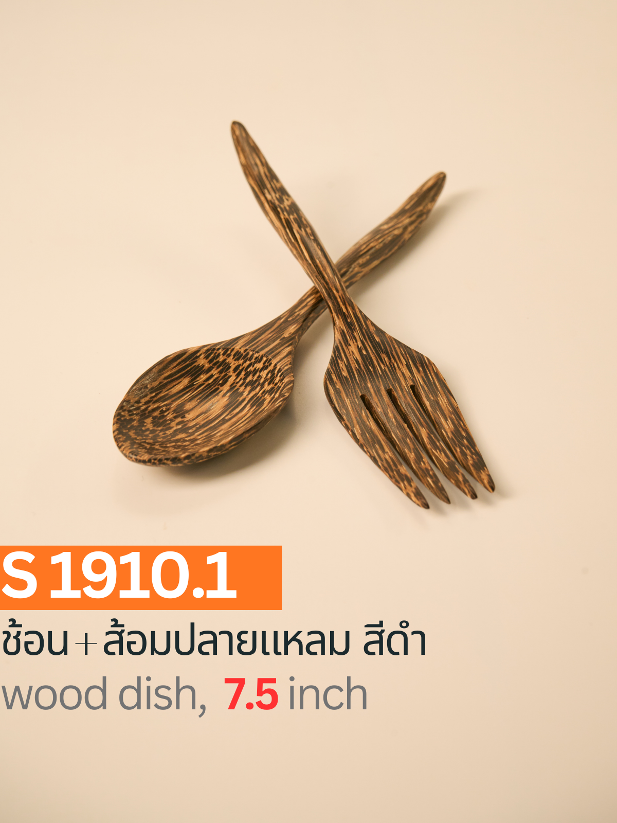 ช้อน + ส้อมปลายแหลม สีดำ